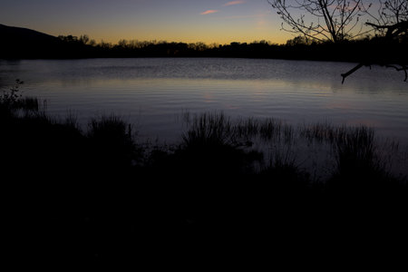 Peaceful lake at sunset with soft colors reflecting on calm water and silhouettes of trees creating a serene natural atmosphereの写真素材