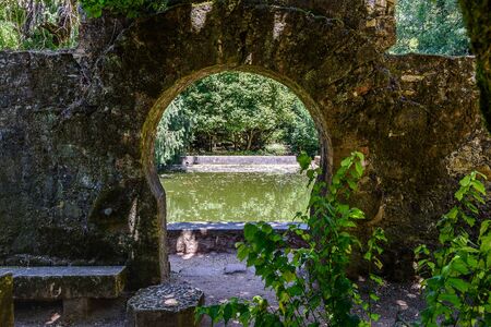 view of the gardens with different native vegetation and plantsの写真素材