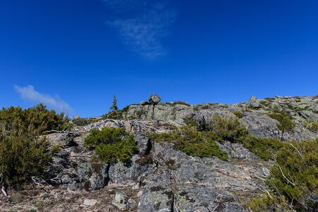 autochthonous vegetation of the area, view of the mountains, sky with clouds and sunの写真素材