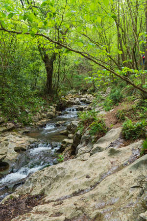 view of the cavity and its surroundings