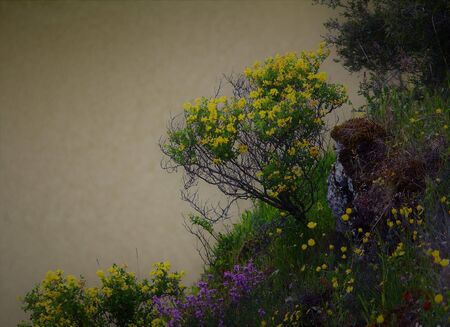 Beautiful corner full of colorful flowers and bushes on the shore of a lake. Its bright colors fill this hidden spot in the countryside with beauty.の写真素材