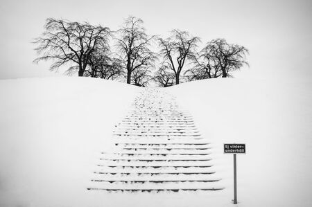 Snow parkの写真素材
