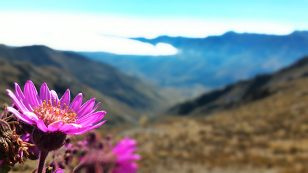 Pico Aguila, Merida, Venezuela.の写真素材