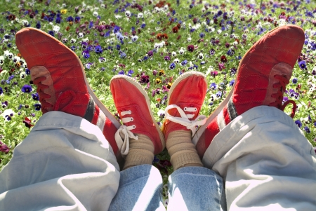Father and son sitting in the garden  の写真素材