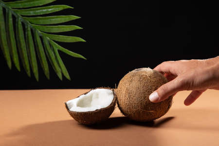 Hand holding coconut.の写真素材