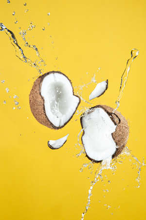 Floating coconut breaking with coconut water splash, On yellow background.の写真素材