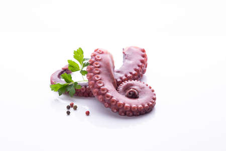 tentacles of stew octopus isolated on white background.の写真素材
