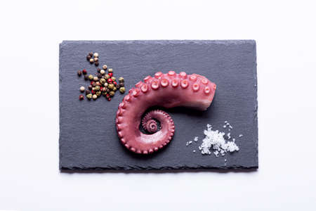 stew octopus tentacles on a stone plate on white background .Top view.の写真素材