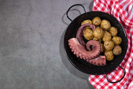 stew octopus tentacles on a skillet plate on dark background Top view with copy space.の写真素材