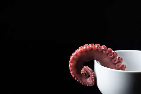 tentacle of stew octopus on dark background.の写真素材