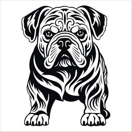 Bulldog full-length portrait in simple ornamental vector style. Black and white illustration, isolated on white background.のイラスト素材