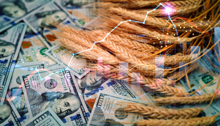 Double exposure of wheat ears and graphs over money background. Financial market concept.の写真素材