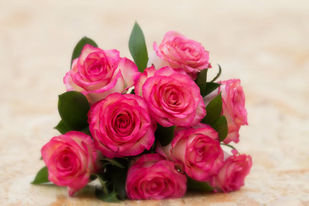Beautiful bouquet of nine pink roses on a creamy backgroundの写真素材