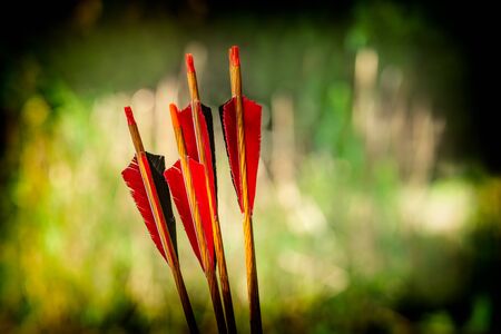 Red bow arrows on a green background with a beautiful bokeh, Romaniaの写真素材