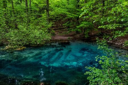 Beautiful and famous emerald colored lake Ochiul Beiului in the woods, forest of Caras Severin county, Beusnita National Park, Bozovici, Romaniaの写真素材