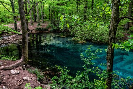 Beautiful and famous emerald colored lake Ochiul Beiului in the woods, forest of Caras Severin county, Beusnita National Park, Cheile Nerei, Bozovici, Romaniaの写真素材