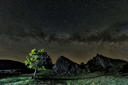 Beautiful landscape with a tree and rocks and a starry night sky, Dobrogea, Romania