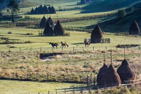 Beautiful rural mountain landscape in the morning light with fog, old houses and haystacks, Fundatura Ponorului, Hunedoara County, Romaniaの写真素材
