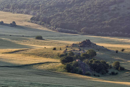 Beautiful landscape in the morning light with old peaks, rocks and trees, Dobrogea, Romania