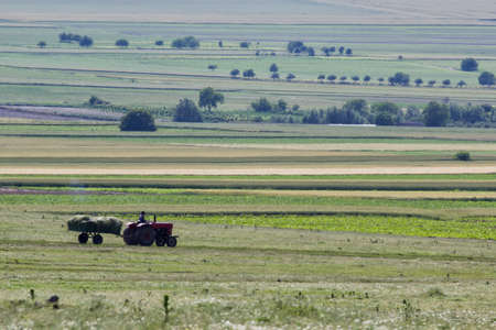 Beautiful rural scene in the spring with a vehicle who gathers fodder, Dobrogea, Romania