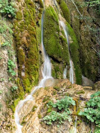 Beautiful landscape of a waterfall with green moss, Alba, Romaniaの写真素材