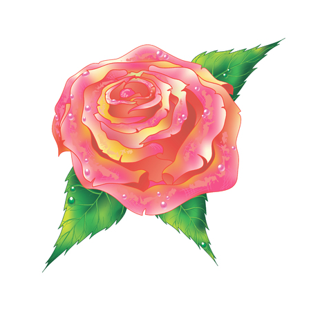 Valentines Day Sweet Red Rosesのイラスト素材