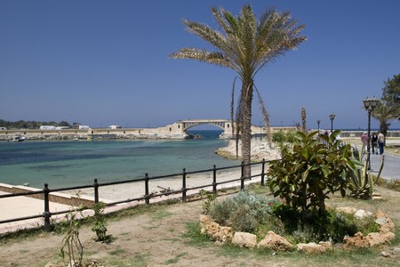 ALEXANDRIA, EGYPT - MAY 30: We take a closer look at Alexandria's city life on MAY 30, 2008, as it's the second-largest city in Egypt, the country's largest seaport and an important tourist resort.のeditorial素材