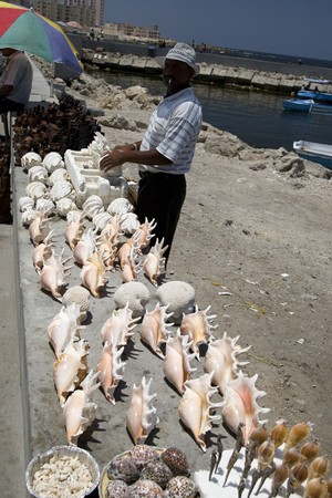 ALEXANDRIA, EGYPT - MAY 30: We take a closer look at Alexandria's city life on MAY 30, 2008, as it's the second-largest city in Egypt, the country's largest seaport and an important tourist resort.のeditorial素材