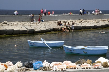 ALEXANDRIA, EGYPT - MAY 30: We take a closer look at Alexandria's city life on MAY 30, 2008, as it's the second-largest city in Egypt, the country's largest seaport and an important tourist resort.のeditorial素材