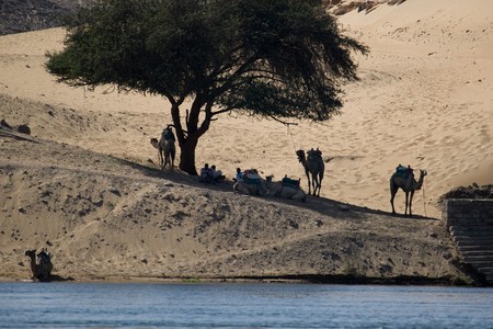 ASWAN, EGYPT - MAY 27: We take a closer look at life on Nile River on MAY 27, 2008, while having a felucca sailboat ride from Aswan to Elephantine Island and to a nubian village.のeditorial素材