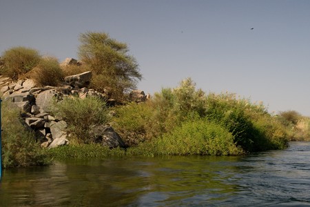 ASWAN, EGYPT - MAY 27: We take a closer look at life on Nile River on MAY 27, 2008, while having a felucca sailboat ride from Aswan to Elephantine Island and to a nubian village.のeditorial素材