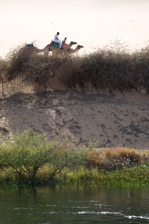 ASWAN, EGYPT - MAY 27: We take a closer look at life on Nile River on MAY 27, 2008, while having a felucca sailboat ride from Aswan to Elephantine Island and to a nubian village.のeditorial素材
