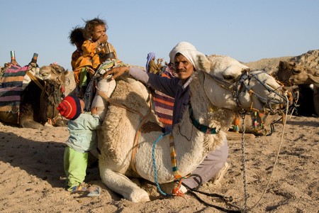 HURGHADA, EGYPT - JUNE 6: We take a closer look at the camels in Sahara Desert, Egypt, on June 6, 2008. Here beduins wait for tourists to take a camel ride so that they can earn some money for their families.のeditorial素材