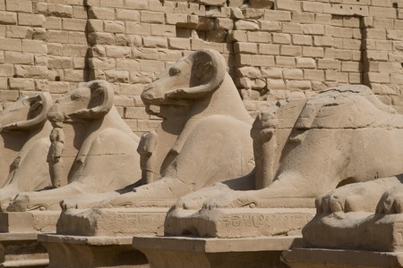 Temple at Karnak, dedicated to Amun-Ra, Egyptの写真素材