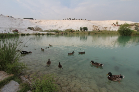 Pamukkale - terraces of carbonate minerals left by the flowing waterの写真素材