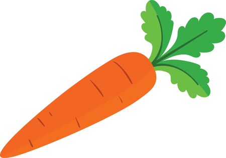 Clipart Vector Carrotのイラスト素材