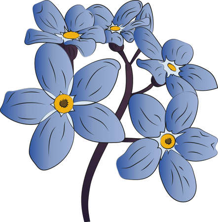 Vector illustration of cornflowersのイラスト素材