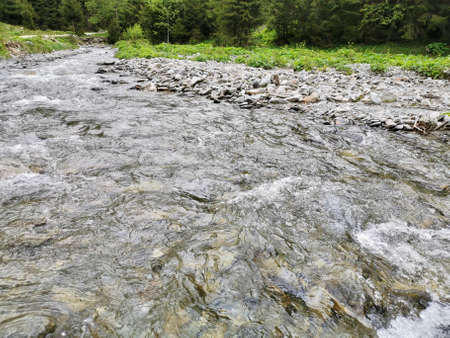 Waterfall in the stream with rocks in the forest
