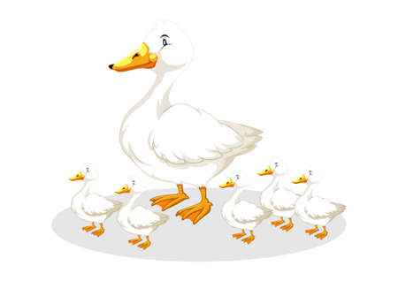 Mother duck and ducklings. Cartoon vector illustration isolated on white background. Duck mother animal and family ducklingのイラスト素材