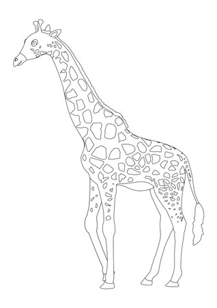 Black And White Giraffe Cartoon Character Vector. Coloring Page Of  Cartoon Giraffeのイラスト素材