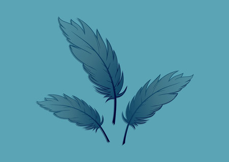Blue Feather Art Vector. Silhouette Featherのイラスト素材