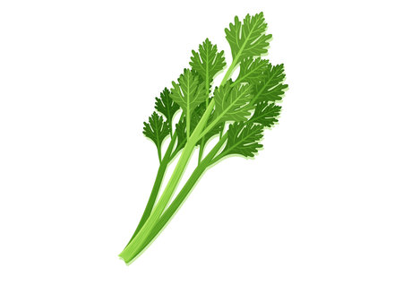Vector illustration of celery stalk fresh vegetable. Delicious healthy foodのイラスト素材
