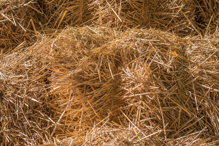 Spread out dry straw under the sun light.