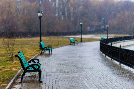 An alley on the bank of the lake with green benches and street lights under falling snow.の写真素材