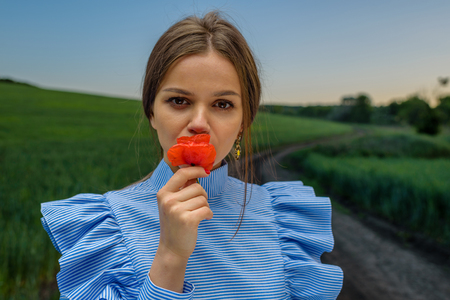 Young woman in blue and white striped dress is sniffing a red poppy flower while standing on the country road near field of green wheat at a spring evening during sunset.の写真素材