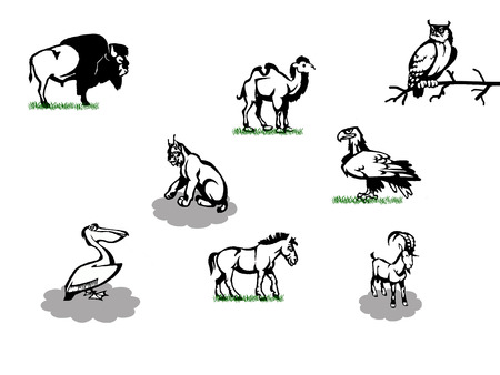 illustration of  icons with wild animals birds and mammals のイラスト素材