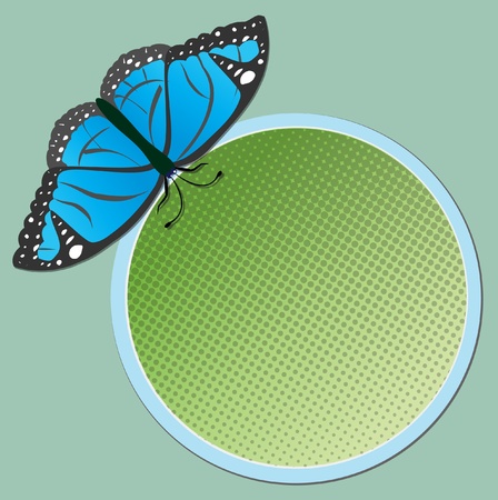 colorful background with round frame and beautiful butterfly のイラスト素材