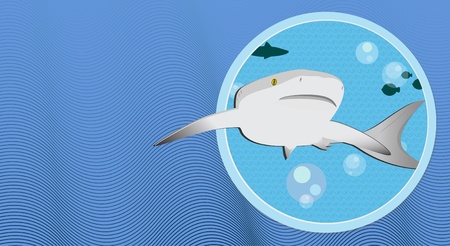 shark in oceanのイラスト素材