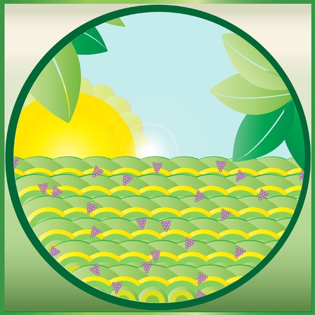 Abstract  grape fieldのイラスト素材