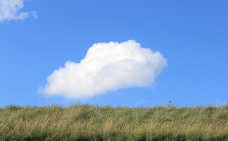 green grass blue skyの写真素材